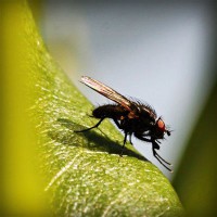 /album/imsigrantcent/photolia-a04-jpg/