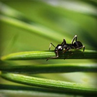 /album/imsigrantcent/photolia-a05-jpg/