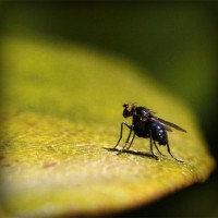 /album/imsigrantcent/photolia-a07-jpg/