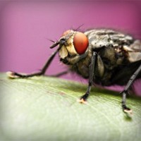 /album/imsigrantcent/photolia-a08-jpg/